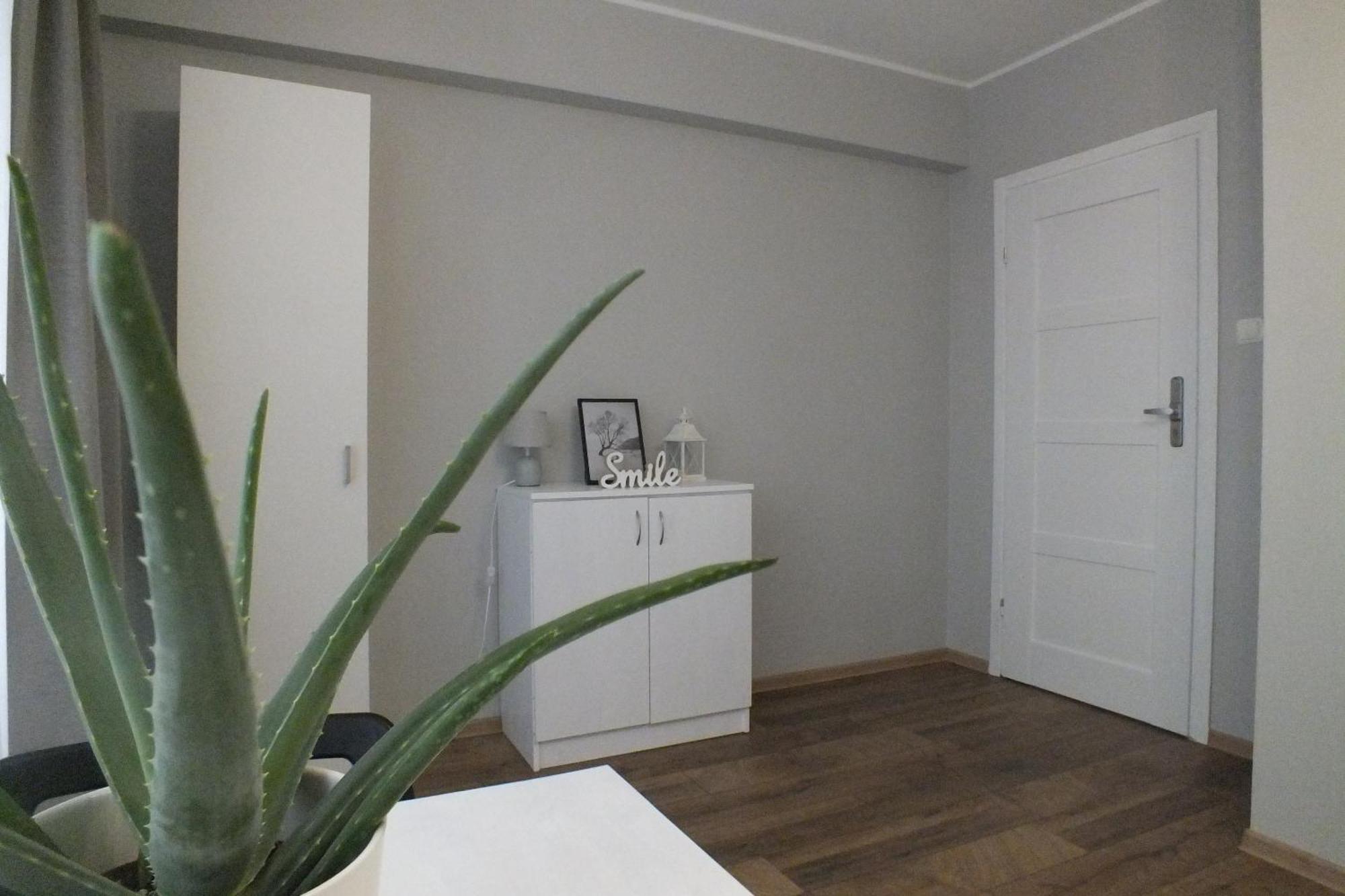 קרקוב Apartamenty Nila מראה חיצוני תמונה